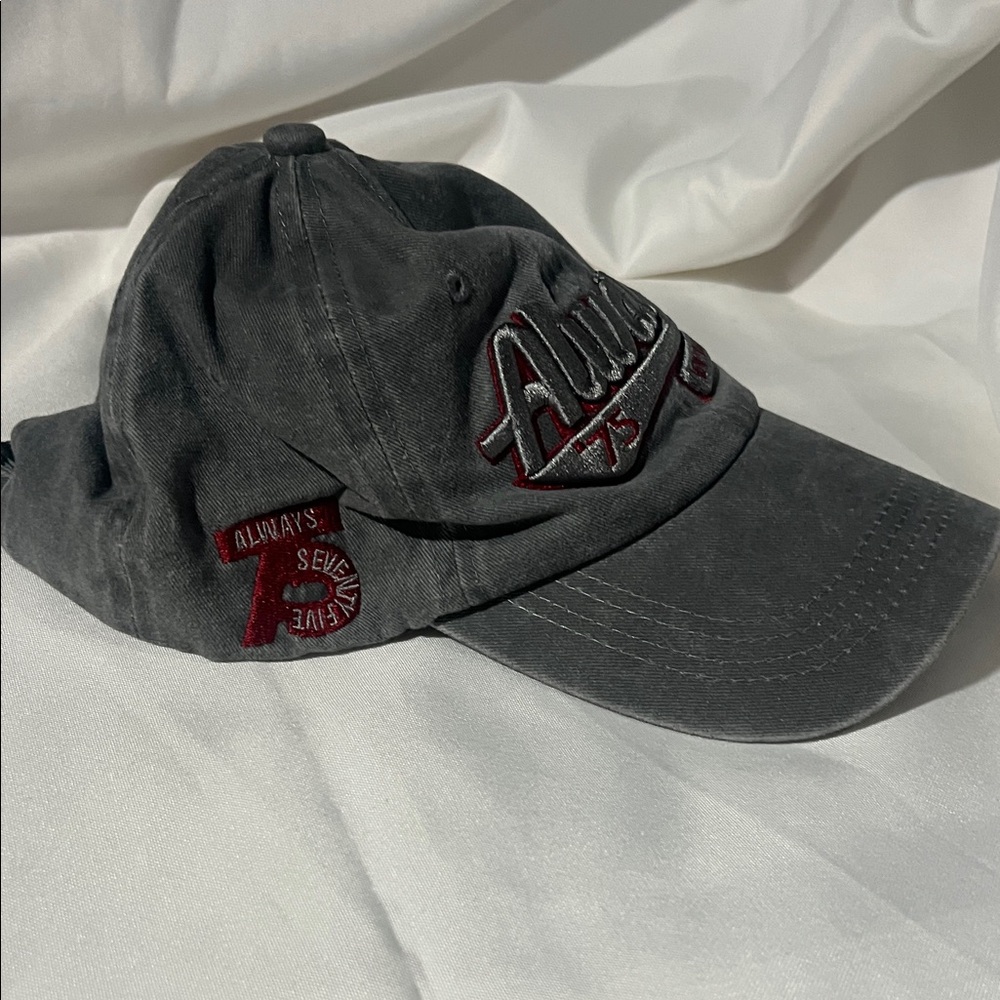 Gray and Red Embroidered Cap‎ - Picture 2 of 5